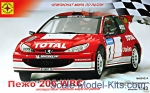 MST604314 Peugeot 206 WRC